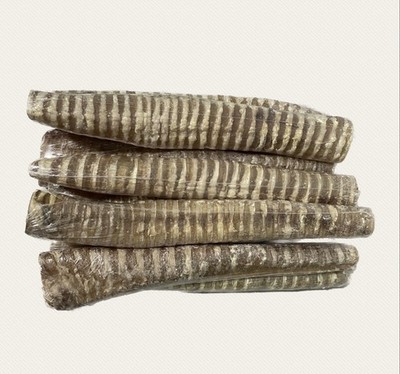 $$BULK SALE$$ 50 Packs 12'' Wrapped Beef Trachea Tube for DOGS 100% Natural Bones