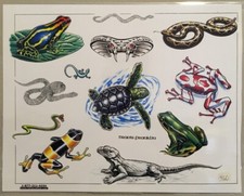 Tattoo Flash Single Sheet Print Name Reptiles Frogs Turtles Snakes 11 X 14