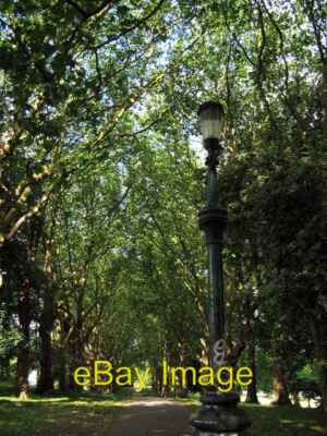 Foto 6x4 von Bäumen gesäumte Allee im St. George Park Bristol Edwardian Laternenmast c2006