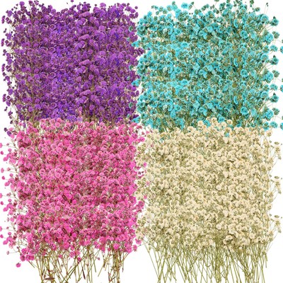 200 Pcs Dried Baby's Breath Flowers Preserved Baby's Breath Pressed Gypsophil...