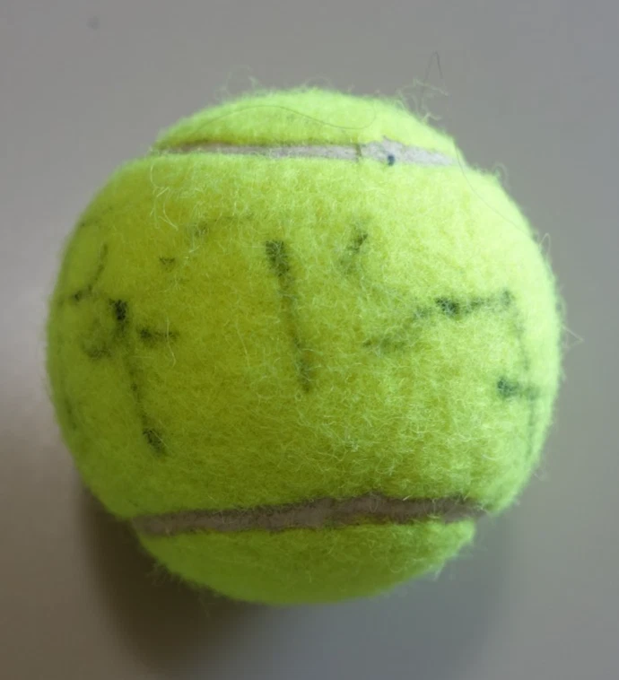 Bjorn Borg Tennis Original Autographed Items for sale | eBay