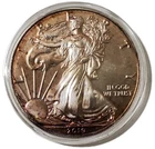 2019 1 Oz Silver $1 AMERICAN EAGLE Uncirculated Coin WITH Natural Tone.