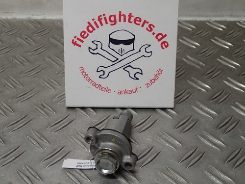 Steuerketten Spanner Steuerkette Motor Aprilia Dorsoduro 1200 TV BJ.13 21077km