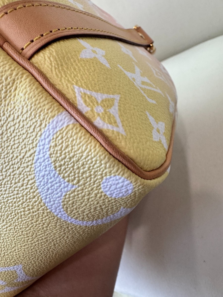 LOUIS VUITTON SPEEDY 25 Summer By The Beach 2021 Capsule Rose | eBay