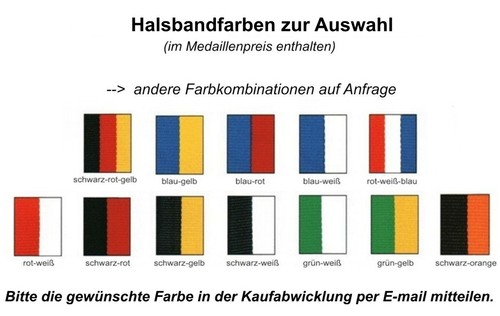 Karnevalsorden 65mm gold/blau inkl.Emblem & Band 2,85 EUR/Stück - Bild 3 von 3