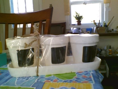 Rae Dunn Vintage Take Note Planters - Image 1 of 4