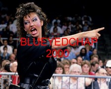 SHERRI MARTEL GIRL WRESTLER 8 X 10 WRESTLING PHOTO WWF WCW AWA