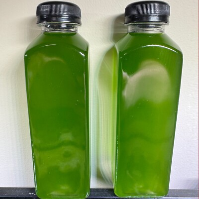 LIVE Phytoplankton culture (Nannochloropsis) 32oz
