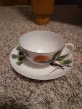 Vintage Hand Painted Fine China Tea Cup & Saucer
