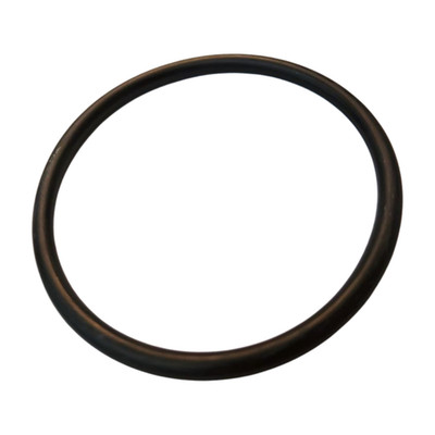 GRACO  # 125249 O-RING FX75, 124 Dichtung für Farbspritzgeräte