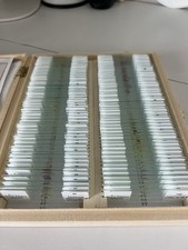 Easy Peasy Science 100-piece Prepared Microscope Slide Set Biology EducationNew