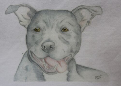 Camiseta o sudadera Staffie Staffordshire Bull Terrier 5 diseños 3-6 mths - XXL - Imagen 1 de 8