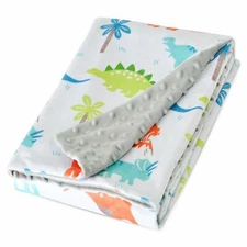 Boritar Baby Blanket Minky Blanket with Dotted Backing Dinosaurs Printed 30"x40"