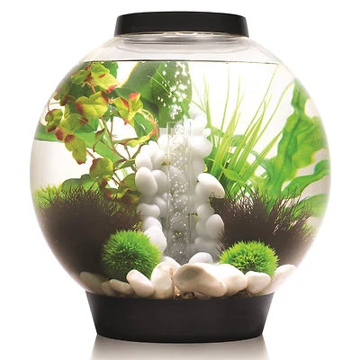 biOrb Nano-Aquarium Komplett-Set CLASSIC 15 LED schwarz