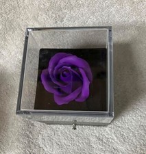 Preserved Purple Rose in Box with Heart Necklace- Gift of Eternal Love-New