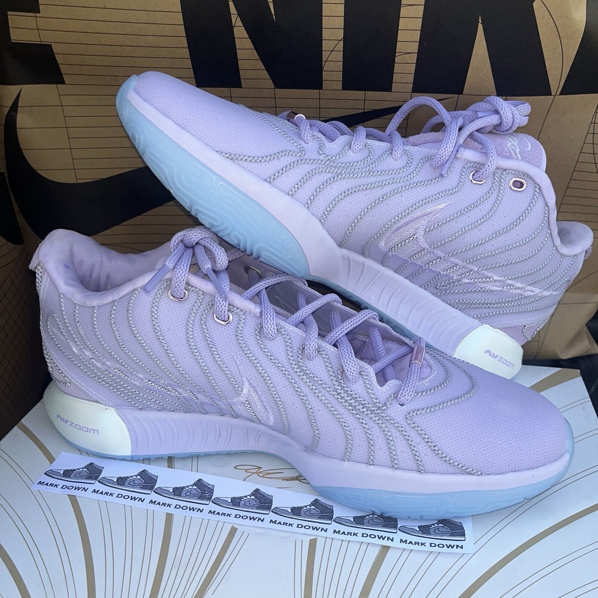 NEW Nike LeBron XXI 21 “Serenity” Easter Purple HF5353-500