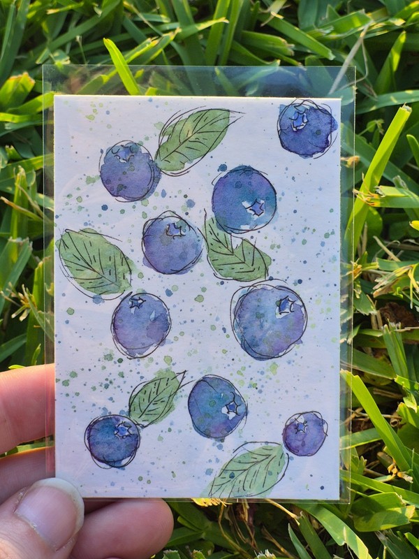 ACEO Original Watercolor Blueberry Painting