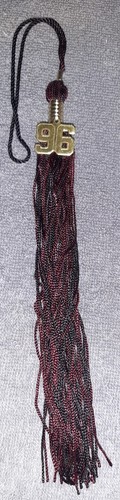 Vintage ORIGINAL  1996 HILLSDALE COLLEGE GRADUATION TASSEL - Picture 2 of 3