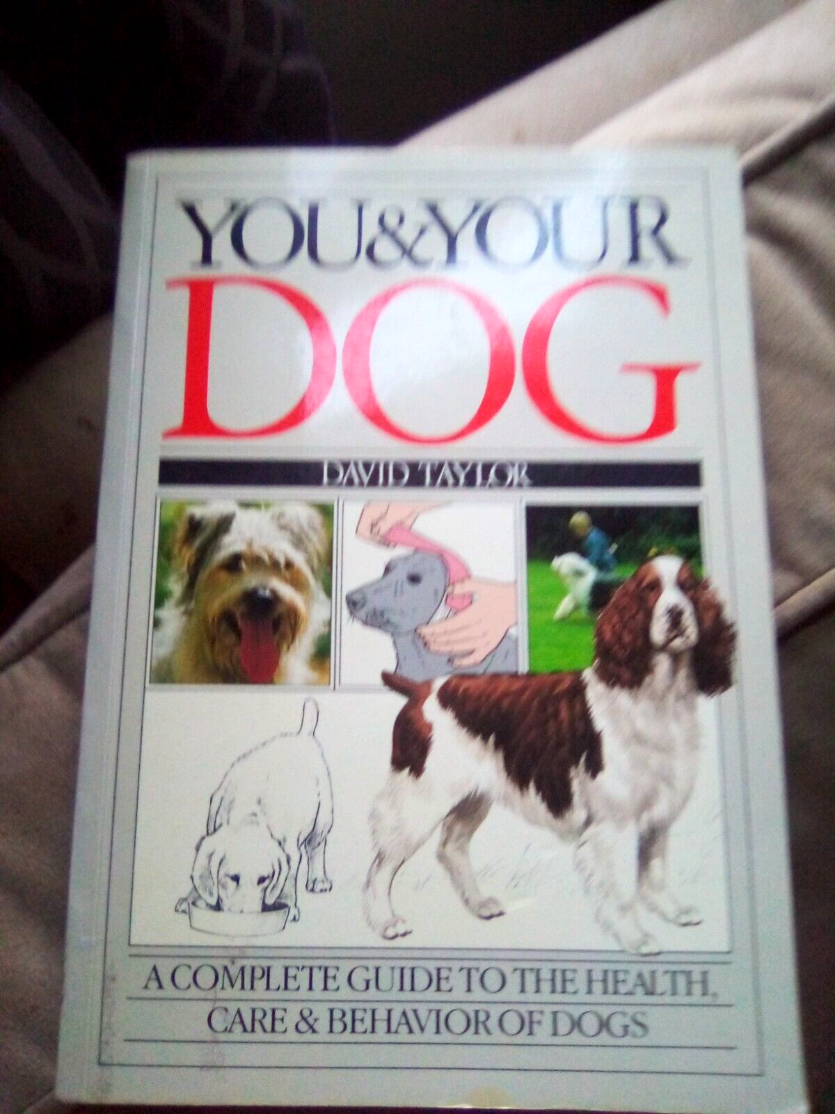 You and your Dog Complete Guide on different breeds for Healthcare, Behavior.