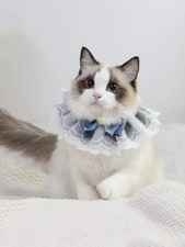 Pet Lace Bib Choose Your Pet Size-Color 