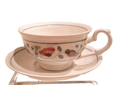 Rare Buchan Portobello Scotland Hand Painted Flower Cup and Saucer