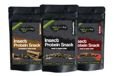 Gewürzte Insektensnacks 3er-Pack, je 15 g, Insekten zum Essen von Catch-Your-Bug