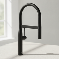 Grohe Eh-SpüLtischbatterie Essence 30503 Mit Profibrause Phantom Black 30503KF0