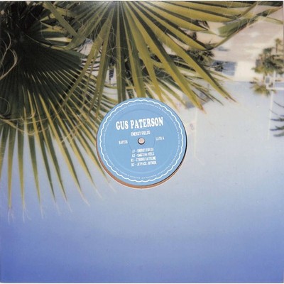Gus Paterson / ENERGY FIELDS EP / Bordello A Parigi / BAP236 / 12 Inch