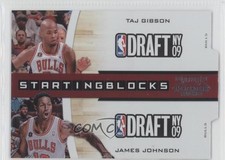 2010 Playoff Contenders Patches Silver Die-Cut /299 Taj Gibson James Johnson 0l2