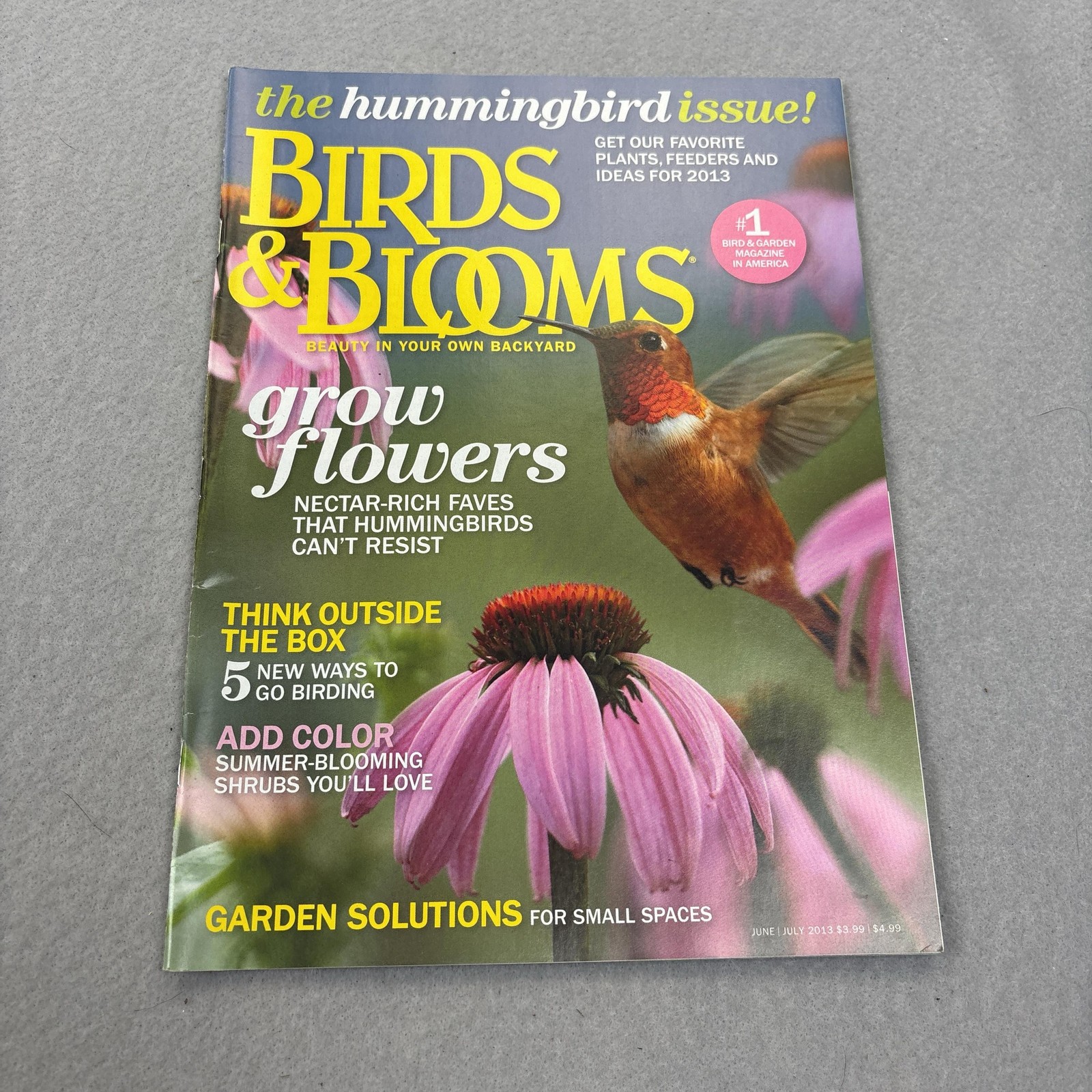 Birds & Blooms Magazine June/July 2013 Hummingbird Illustrated Green Cover USA