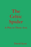 The Celtic Spider David Scott Taschenbuch Kartoniert / Broschiert Englisch 2018