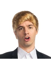 Billionaire Tycoon President Hair Wig Adult's Costume Accessory