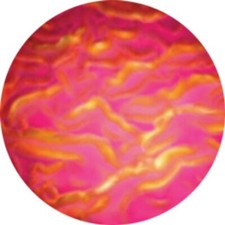 Rosco Color Wave Glass Gobo - Magenta Ripple R33103- Size 24X