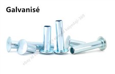 Galvanisé Tête Ovale Tête Ovale Rivets Semi-creux M3 M4 M5 M6