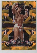 2024 Panini Select WWE Concourse Gold Ice Prizm 6/10 The British Bulldog 0ah7