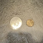 2018 American Silver Eagle $1 Silver & Native American Dollar Gold Coin Lot