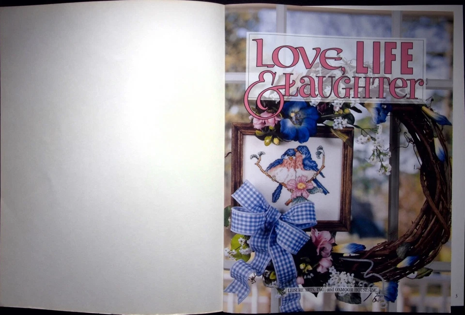 LIBRO FOLLETO ARTES DE OCIO MEJOR AMOR VIDA Y RISA 3030 - PUNTO DE CRUZ Foto 2 de 4