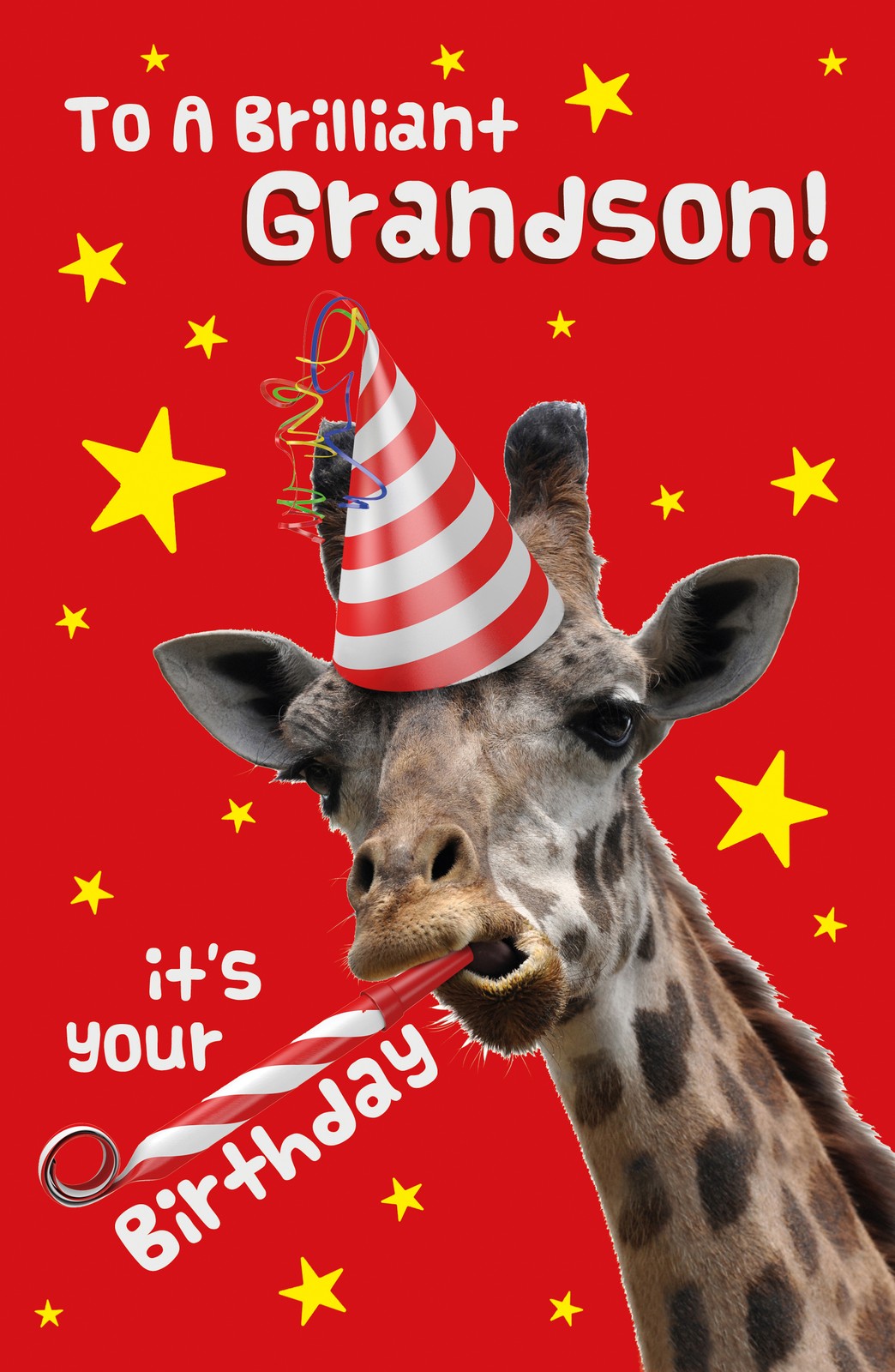 Grandson Birthday Card Male - Foil Finish - Cherry Orchard - 5.2"" x 8.2""