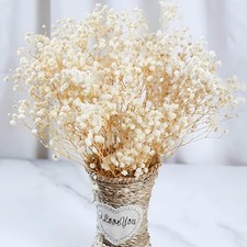 2000 Dried Babys Breath Flowers Bulk - 17" Ivory White Dried Flower Bouquet,...