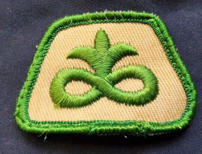 Vintage Patch For-Pioneer Brand Seed-Rare TAN & Green Color.