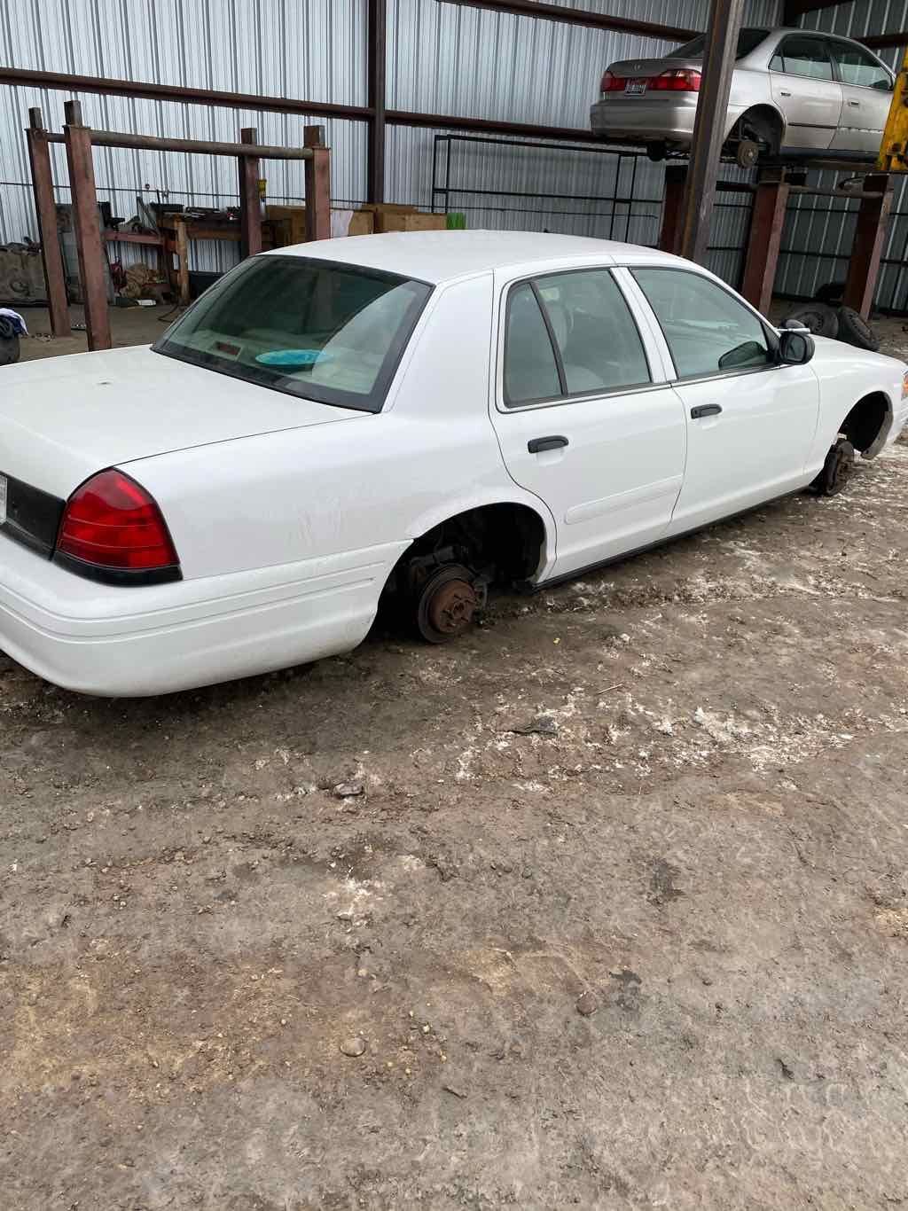 Zdjęcie 8 z 11