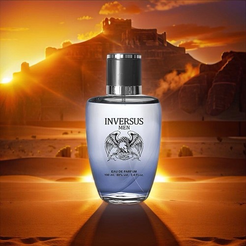 Chatler Inversus Men Eau De Parfum 100ml Spray Aftershave Like Paco Invictus eBay