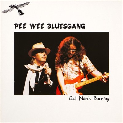 Pee Wee Bluesgang - Cool Man's Burning LP Album Vinyl Rock,Blues 0216