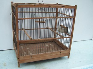 Cages Volières Oiseaux Ancienne Cage à Oiseaux Volière Cage