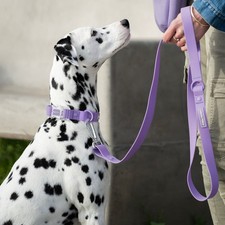 NWT - Canada Pooch WATERPROOF Leash - Lavender - SIZE: L / XL