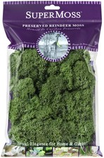  23080 Reindeer Moss Preserved, Basil, 2 Ounces
