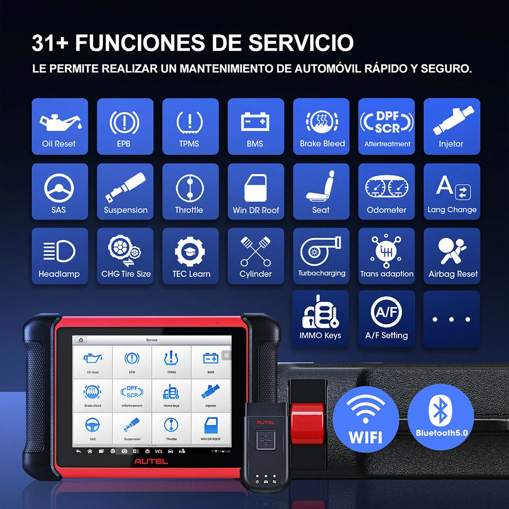 Imagen 4 de 12