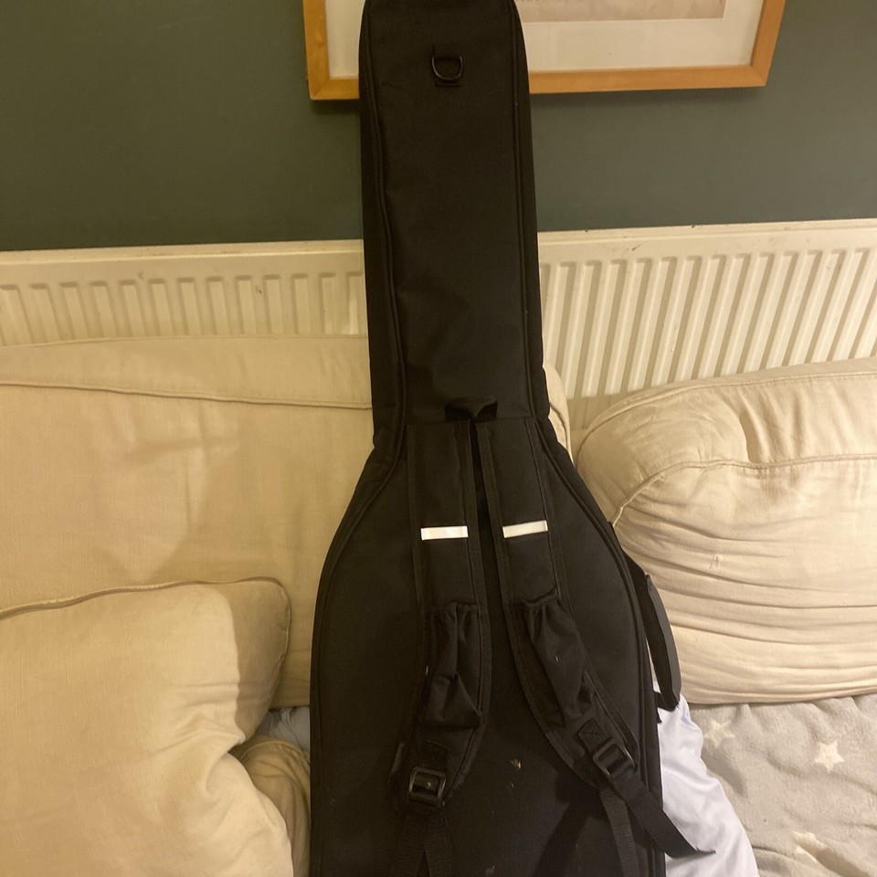 Guitar case eBay