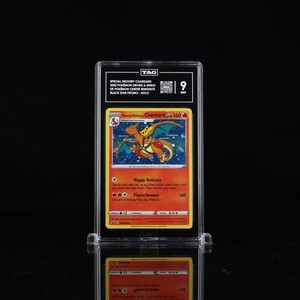Special Delivery Charizard | eBay