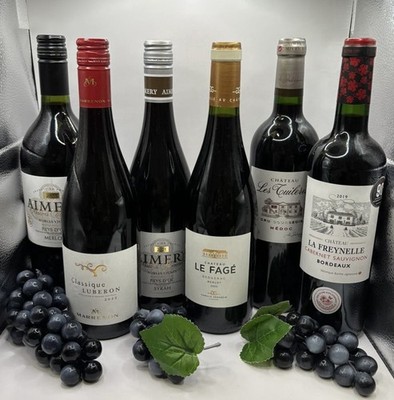 Frankreich Rotwein Probierpaket 6 Flaschen Bordeaux Médoc Syrah Weinset